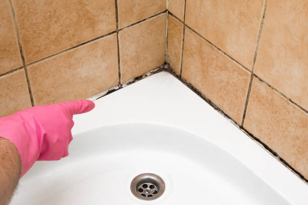 Best Mold Cleaning Services  in Kingsville, TX